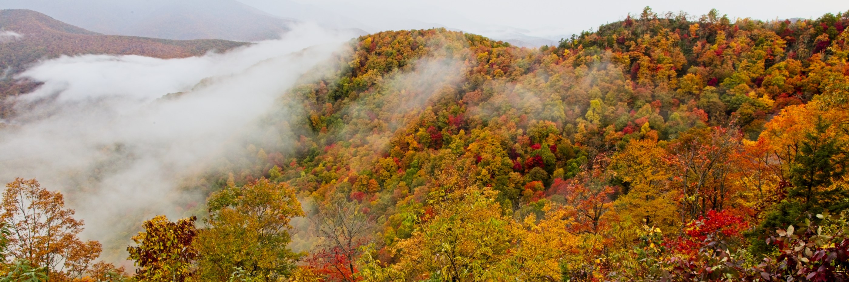 Fog pouring through autumn ridgelines in the Blue Ridge