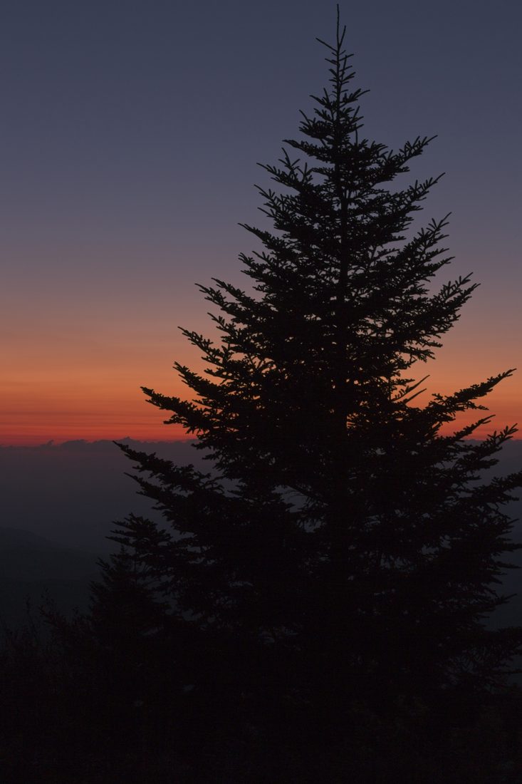 Vertical twilight scene with cool blue dusk over distant ridges