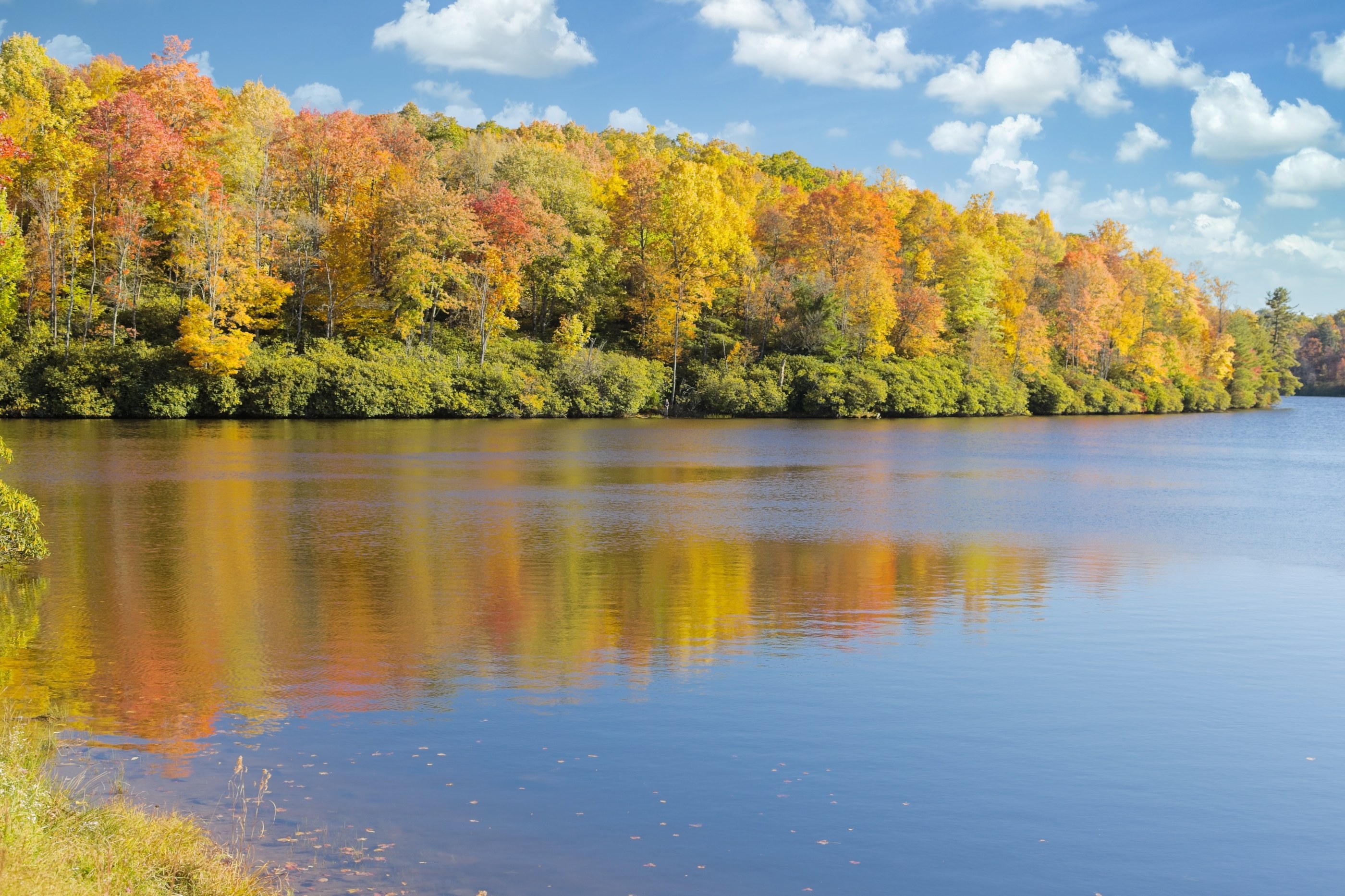 Mirror-still autumn lake reflecting orange and gold treeline